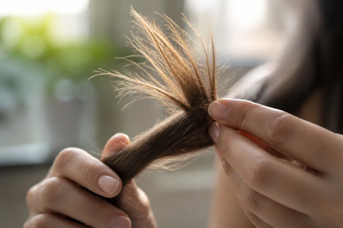 Mèche de cheveux longs torsadée entre deux mains, extrémités abîmées visibles à contre-jour